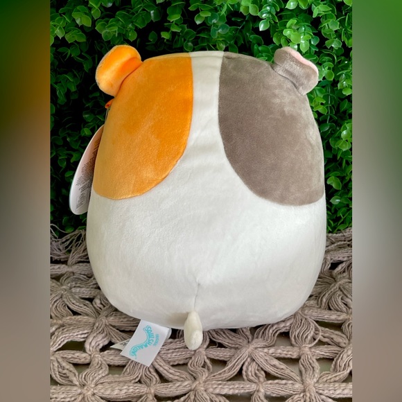 NWT Everett the Guinea Pig Squishmallows 8" - Picture 5 of 6